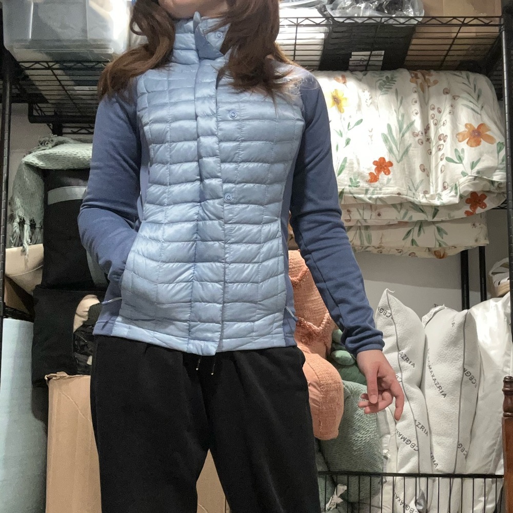 Slim Fit Northface Blue Winter Jacket